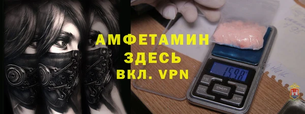 гидра Краснослободск