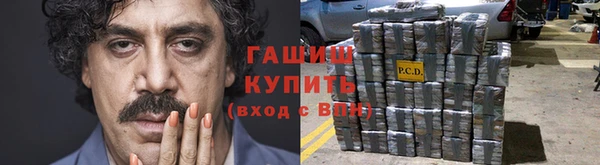 гидра Краснослободск