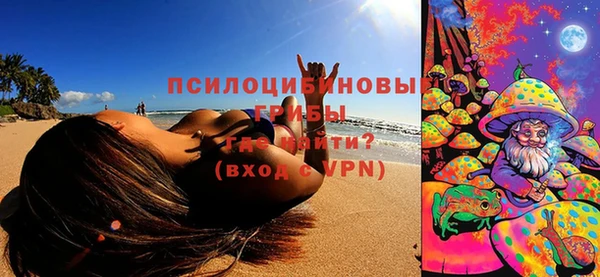 дживик Краснотурьинск