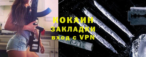 гидра Краснослободск