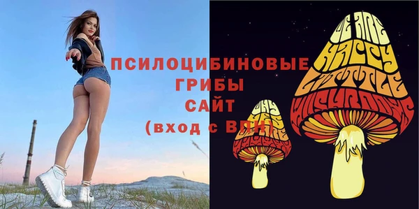 гидра Краснослободск